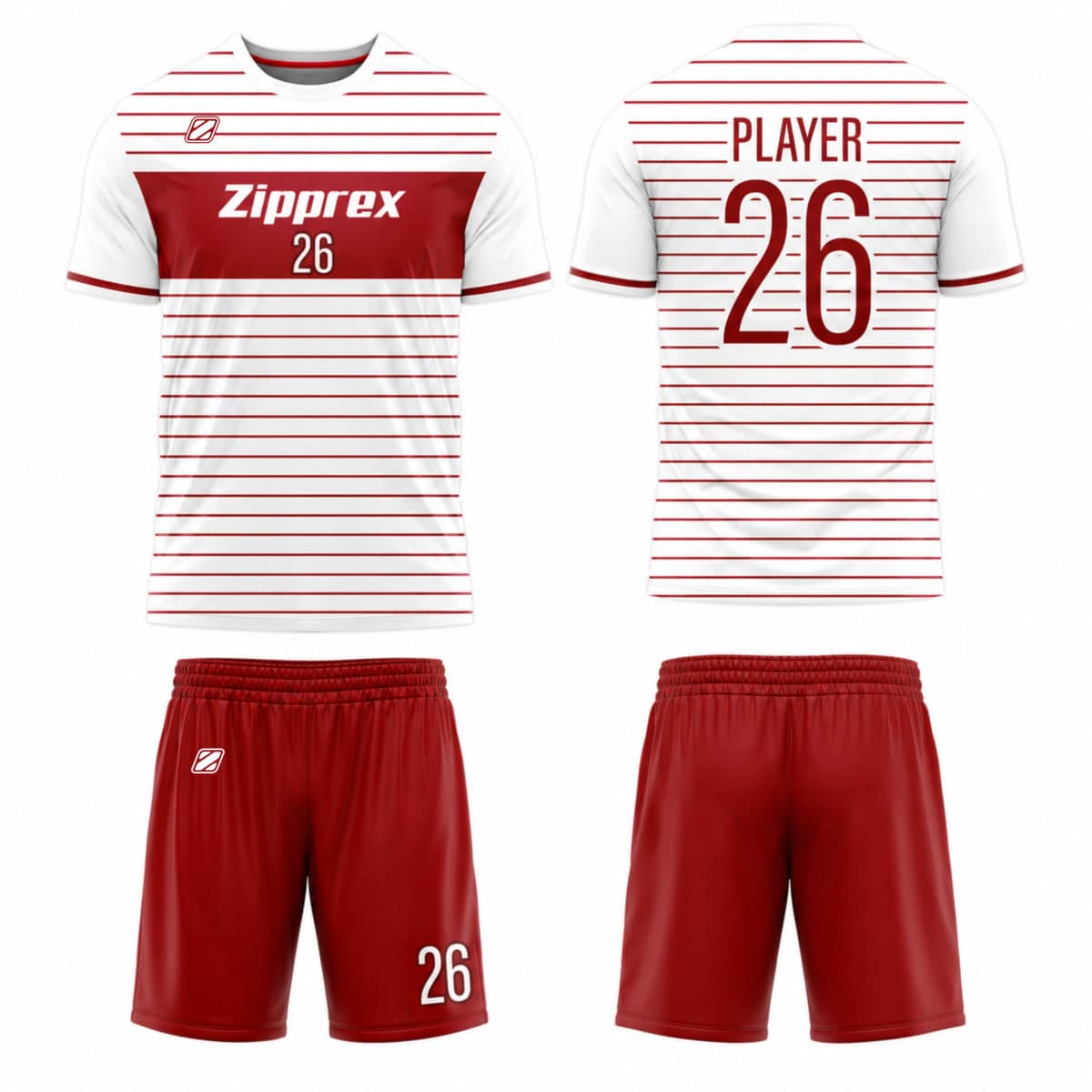 ZP-S010