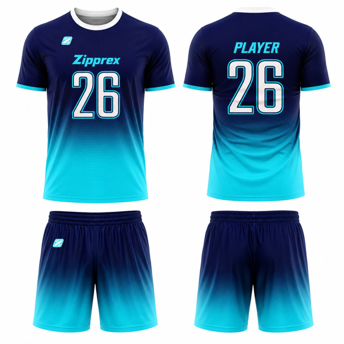 ZP-S012